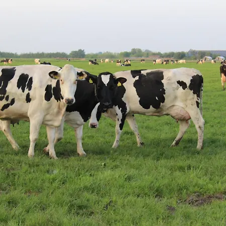 Boerderij Nixhoeve *