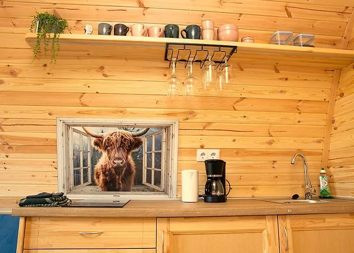 Роскошный шатер Boerderij Nixhoeve *